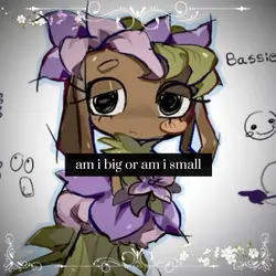 bassie edit
