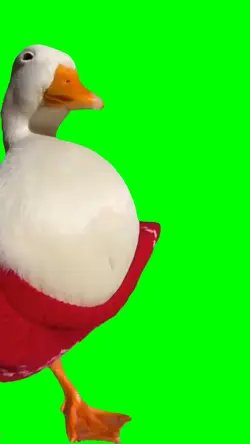 Random meme.... 