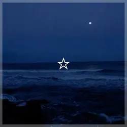 The sea 🪼☆