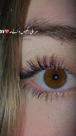 SURILI AKHIYO WALY