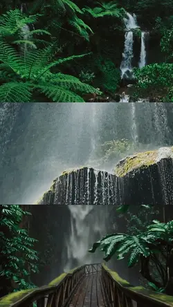cinematic nature