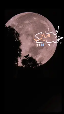 sureeli akhiyon wale