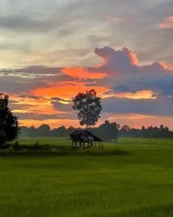 สุขทุกข์คนละแบบ