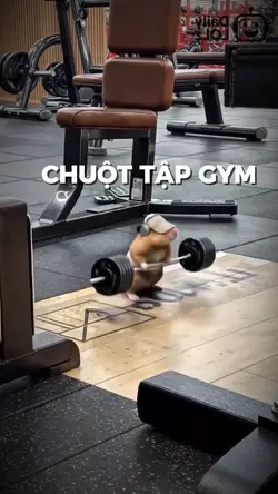 Mẫu chuột tập gym