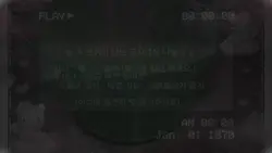 숲속 분위기 나는 공지영상 나눔