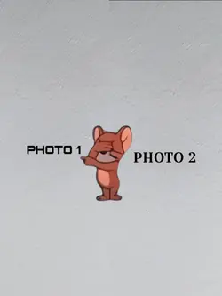 Which One
