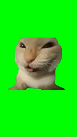 Mwhehehe cat