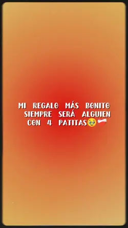 El regalo mas bonito