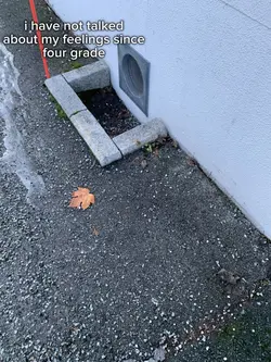 Trust issues
