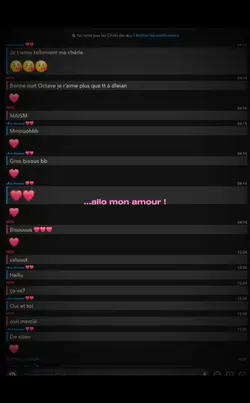 allo mon amour !