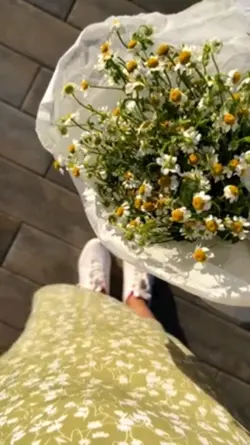 Spring Day