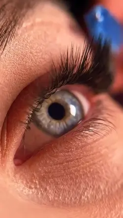 lash