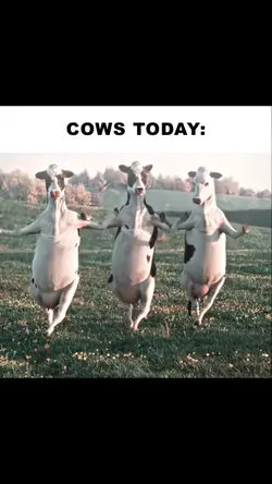 Wake Up