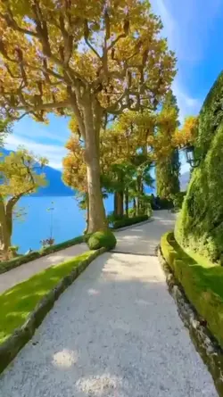 Transisi video
