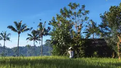 10 CLIP'S CINEMATIC 