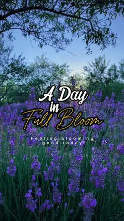 A Day In Full Bloom