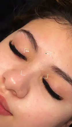 LASH TRANSITIO