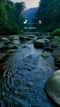 No internet travel 