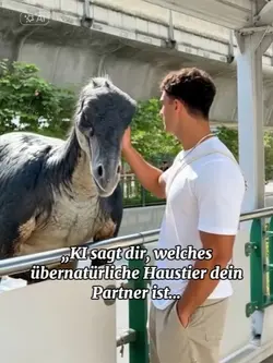 Haustierpartner über