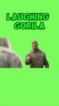 Laughing Gorila