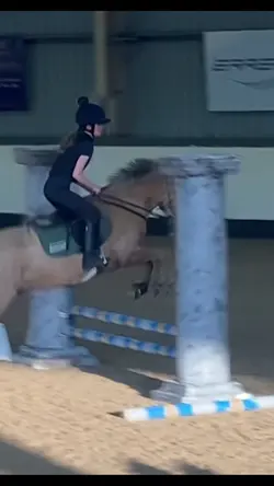 Solo at pc!hes amaze
