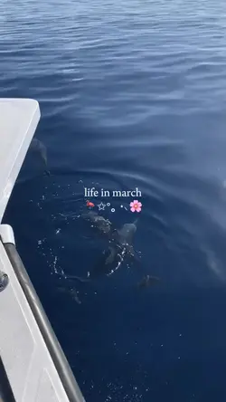life in march