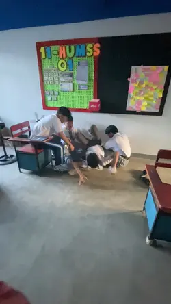 School life so far