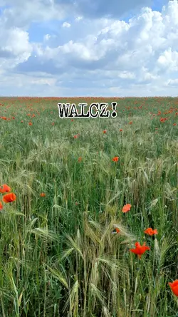 Walcz
