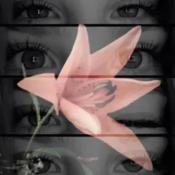 follow me