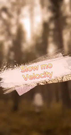 Velocity walking