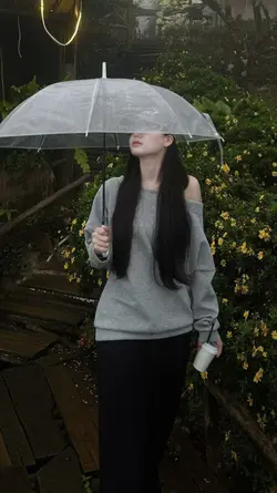 Trình chiếu 