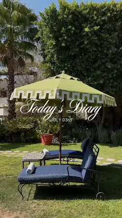 Daily vlog