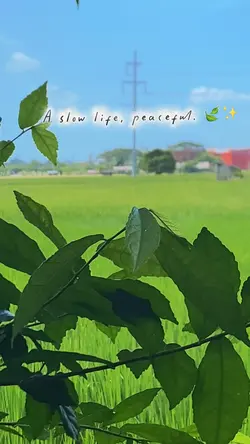 Farm Life
