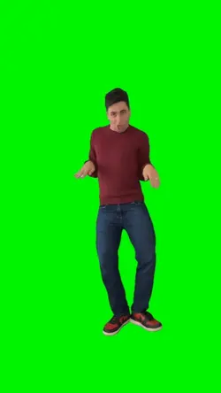 BIRD DANCE MEME
