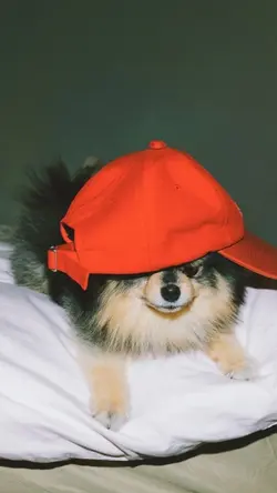 Yeontan birthday