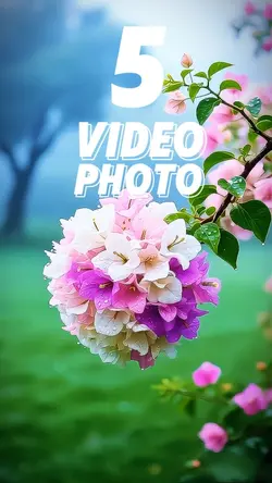 5 clip or photo 