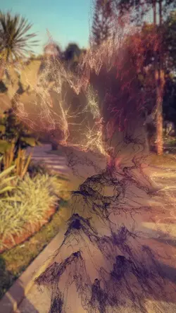 airdust effect