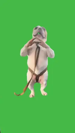 Imma Bite You