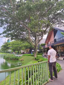 Renungan dan Harapan
