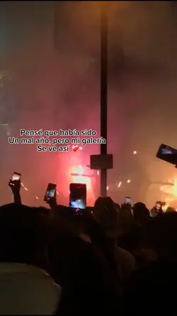 No fue mal año 