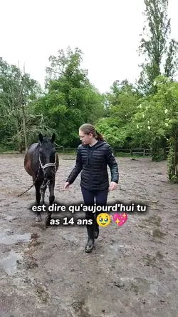 joyeux anniversaire 