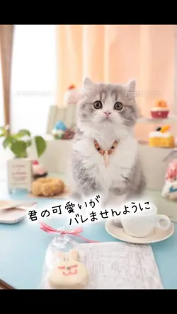 君の可愛いがバレませんように♡♡