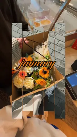 january dump 2026