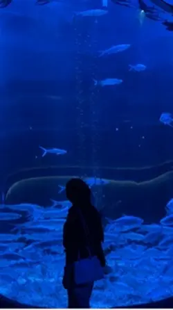 Aquarium date