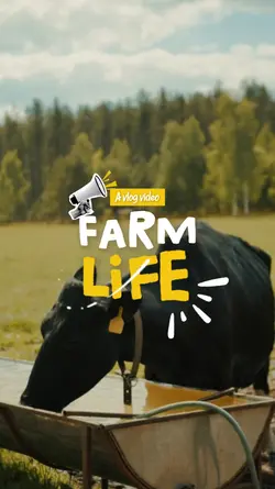 farm life