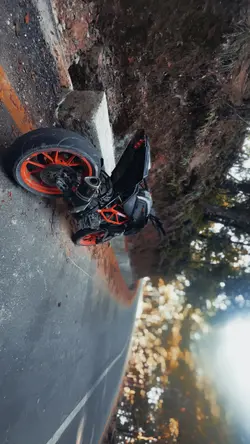 Bike cinematics