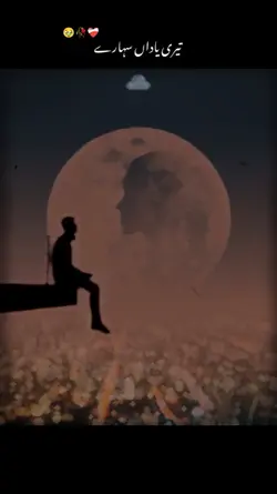 Teri yadan sahara