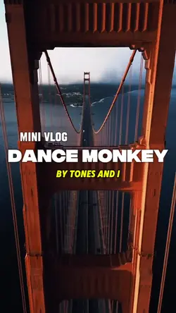 Dance Monkey