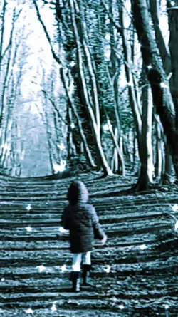 forêt 