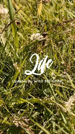 July Life Update 